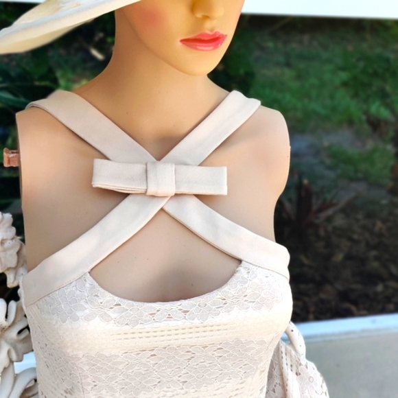 Embroidered floral lace fit and flare mini - Picture 2 of 16